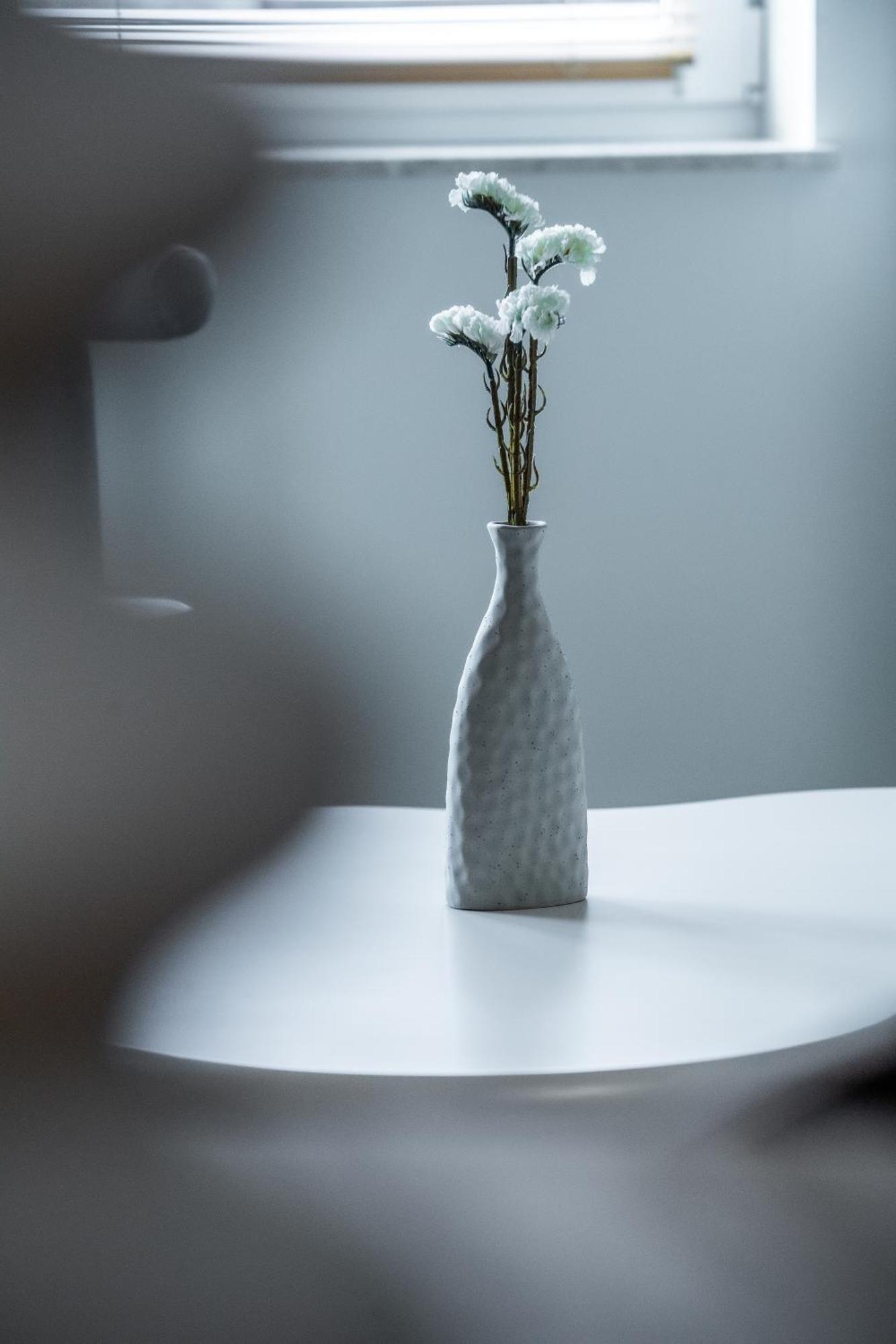 Apartamenty Balijskie Gliwice Dış mekan fotoğraf